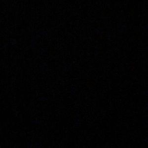 Meet your Posher, Maddy